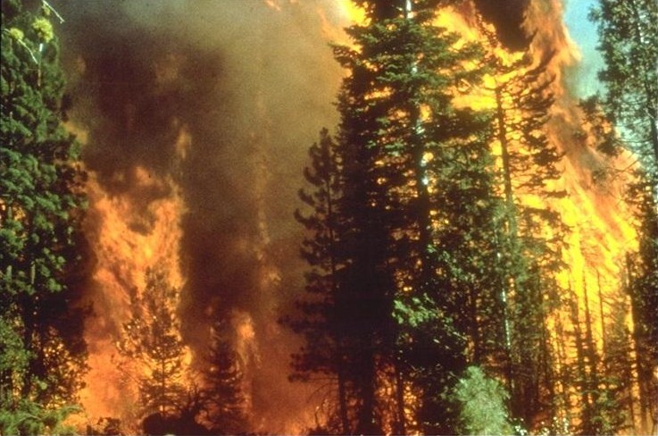 File:Wildfire in California.jpg