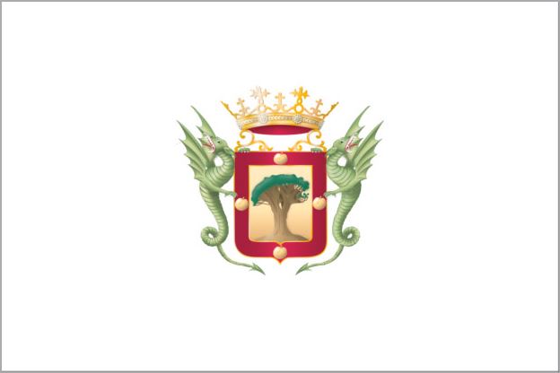 Файл:Bandera Oficial de la Villa de La Orotava.JPG