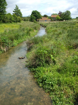 File:Source of a river water CRM.png