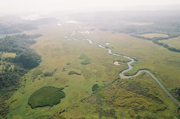 File:Várzea do Rio Embu-Guaçu.jpg