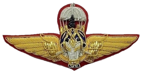 File:RTA Basic Parachutist Badge.png