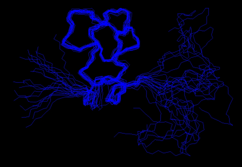 File:Ensemble of NMR structures.jpg