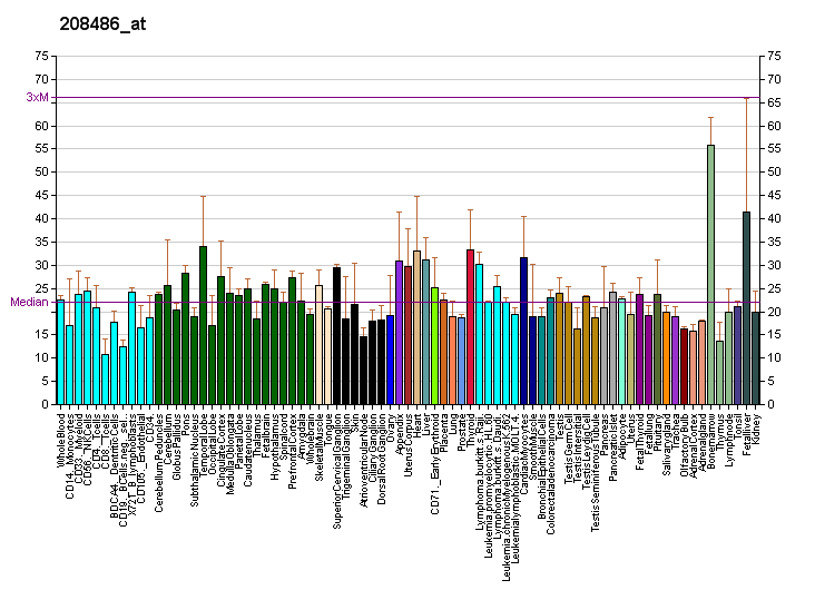 File:PBB GE DRD5 208486 at fs.png