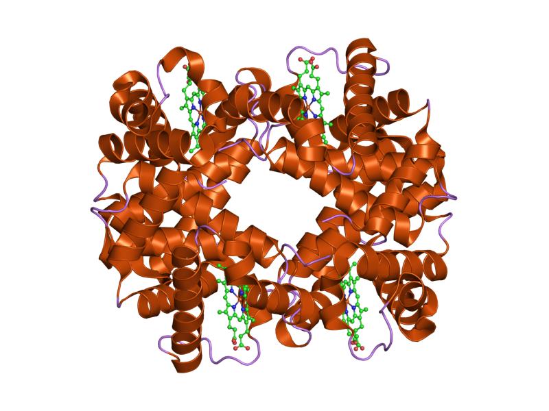 File:PDB 1y35 EBI.jpg