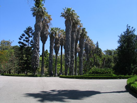 File:Jardim Museu Agricola Tropical Lisboa 1.JPG