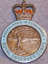 File:ROC Lapel Badge.jpg