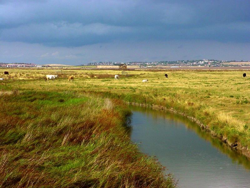 File:Elmley marshes.jpg