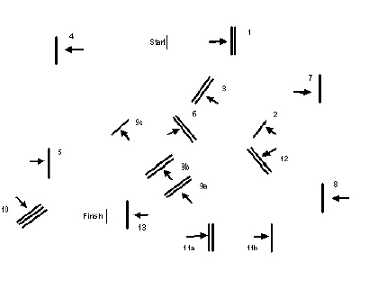 File:ShowJumpCourse.gif