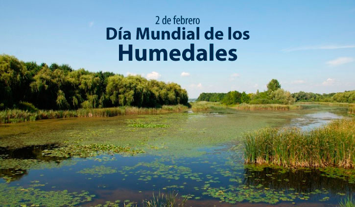 Archivo:Día Mundial de los Humedales.jpg