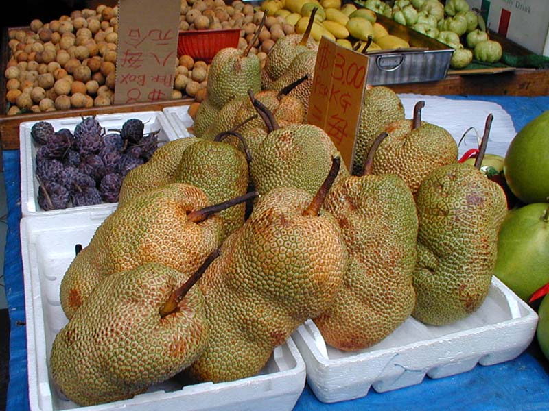 File:Durians.jpg