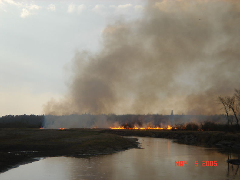 File:Fire in Chippewa National Forest.JPG