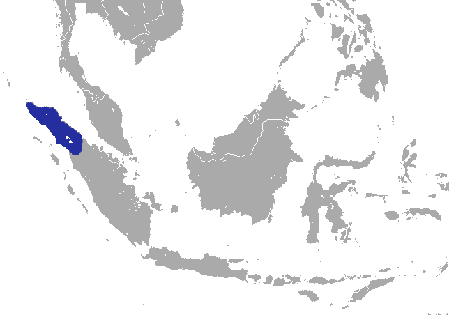 File:Hutan Shrew area.png