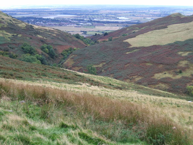 File:Menstrie Glen, Lower, looking south.jpg