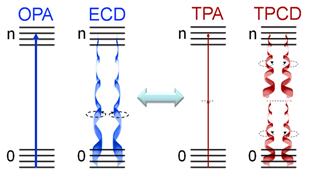 File:Comparative Schematic between One and Two Photon Processes.png