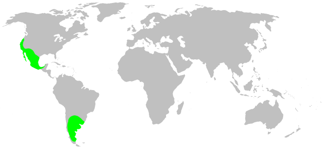 Файл:Distribution.mecicobothriidae.1.png