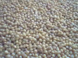 File:Millet.png