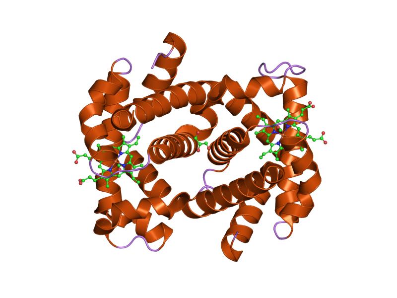 File:PDB 1yvt EBI.jpg