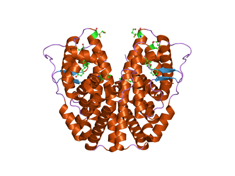 File:PDB 2b1v EBI.png