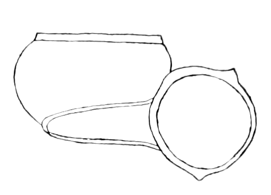 File:Valvata bicarinata shell.jpg