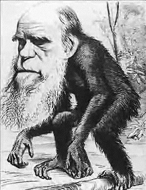 File:Darwin ape.png