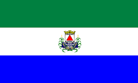 File:Deltamgbandeira.png