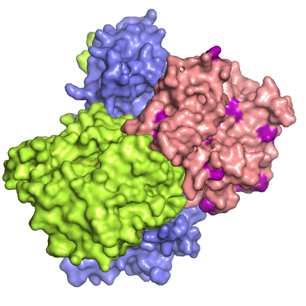 File:LKB1 complex structure 2WTK.png