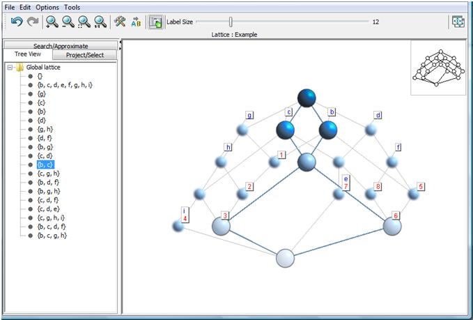 File:LatticeMiner Figure-2.JPG