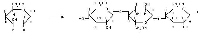 Archivo:Estructura celulosa.png