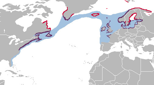 File:RangeMap Lmarinus.jpg