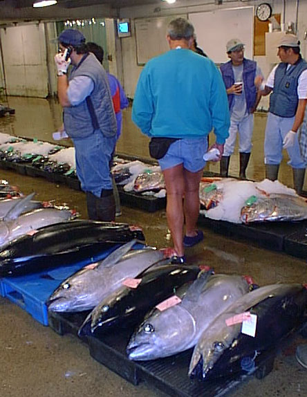 File:Fish auction Hawaii.jpg