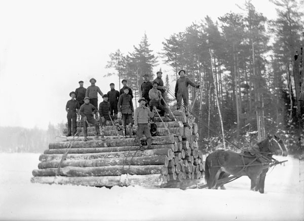 File:Horses hauling logs in the Ottawa Valley Ottawa.jpg