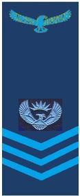 File:Rank SAAF Flight Sgt.jpg