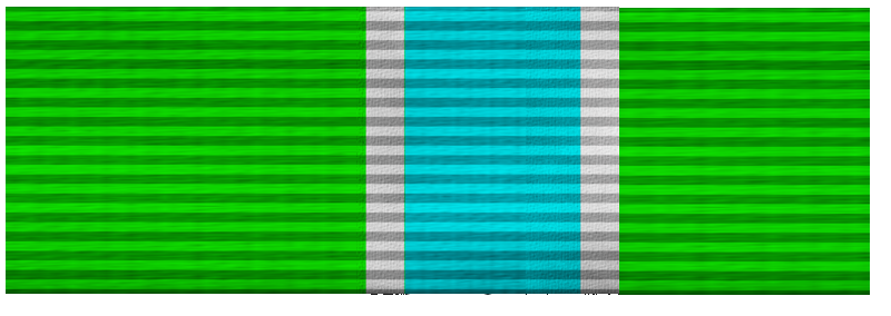 File:Sims 2 ribbon.png