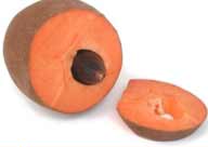 File:CDC sapote2.jpg