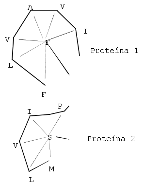 Ilustración de los vectores átomo-a-átomo calculados con SSAP. A partir de estos vectores se construirían una serie de vectores diferencia (por ejemplo, entre (FA) en la proteína 1 y (SI) en la proteína 2). Las dos secuencias se representan sobre las dos dimensiones de una matriz para formar una matriz de diferencias entre las dos proteínas. Se aplica programación dinámica sobre todas las posibles matrices de diferencias para construir una serie de trayectorias óptimas de alineamientos locales, que son sumadas para formar una matriz resumen sobre la cual se ejecuta una segunda ronda de programación dinámica.