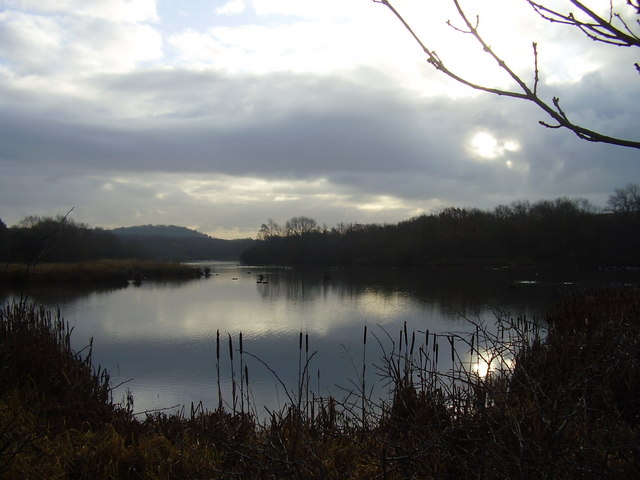 File:Denaby Ings - geograph.org.uk - 1630649.jpg