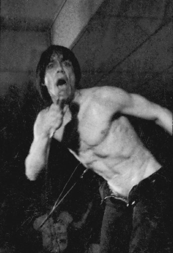 File:Iggy pop davis b&w 1.jpg