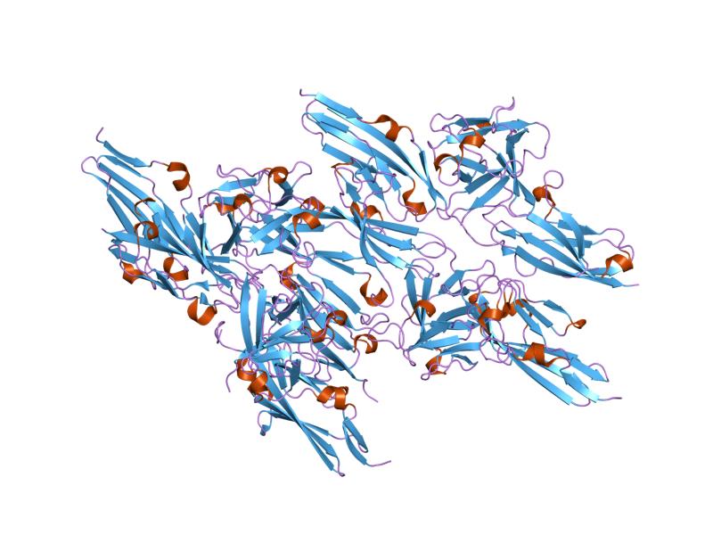 File:PDB 1iil EBI.jpg