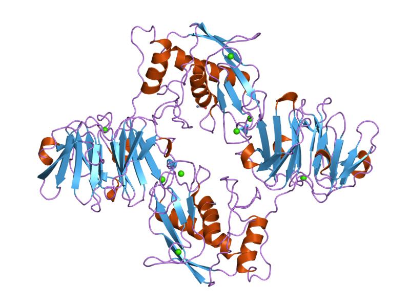 File:PDB 2clt EBI.jpg