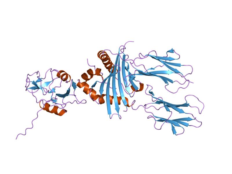 File:PDB 1kg0 EBI.jpg