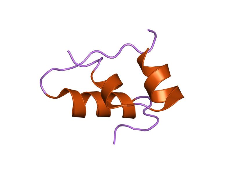 File:PDB 9ins EBI.jpg