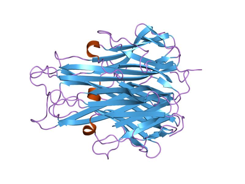 File:PDB 1tnf EBI.jpg