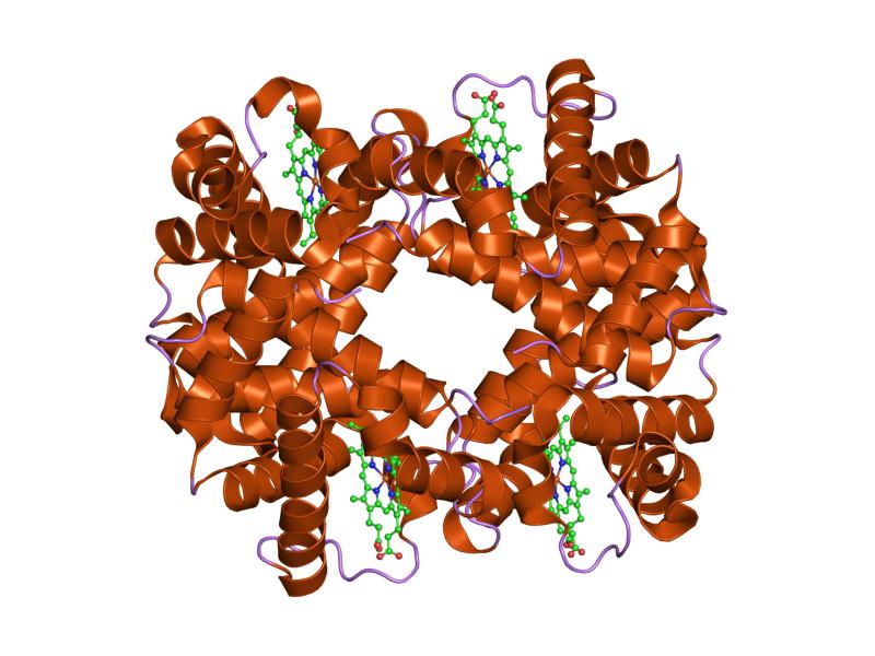 File:PDB 1y83 EBI.jpg