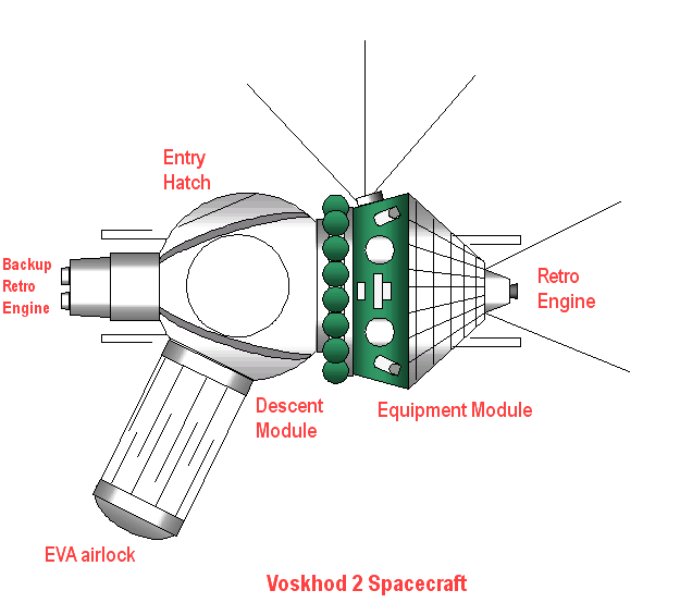 File:Voskhod spacecraft diagram.png