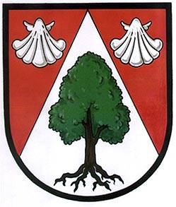 Archivo:Brest CoA CZ.jpg