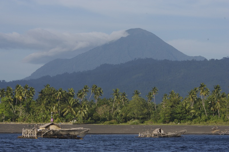 File:Tangkoko National Park, North Sulawesi, Indonesia.jpg