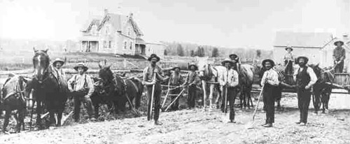 Fallowfield Road Gang at Monaghan's c.1880