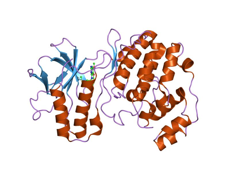 File:PDB 1di9 EBI.jpg