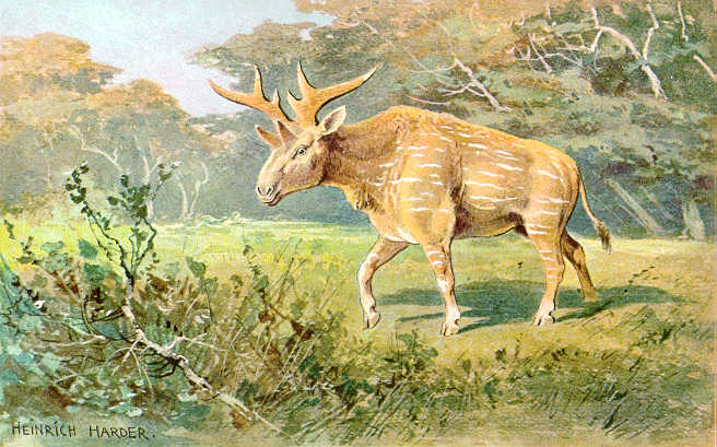 File:Sivatherium hharder.png