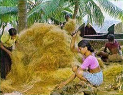 File:Coir segregation.jpg